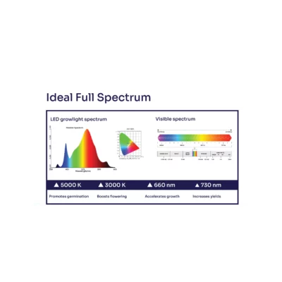 Ideal full spectrum png 1