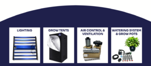 206 What Is the Essential Equipment for Indoor Cannabis Growing
