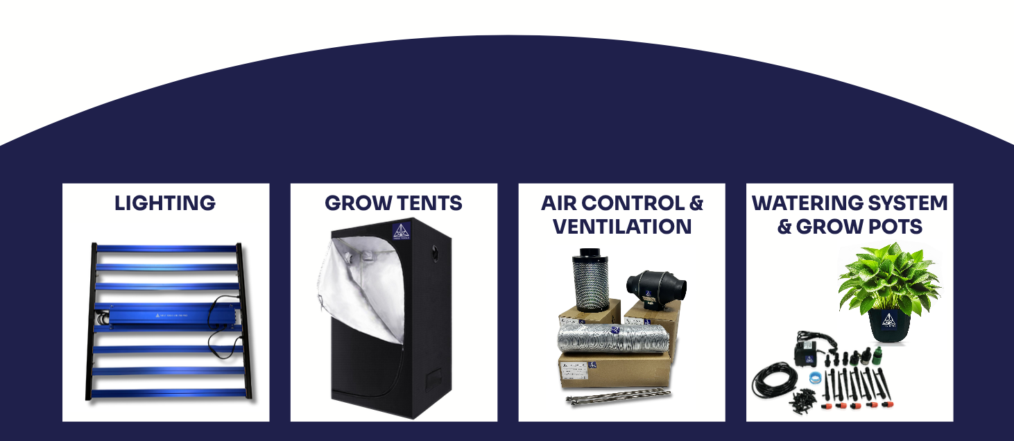 206 What Is the Essential Equipment for Indoor Cannabis Growing